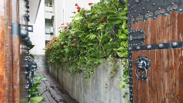 内部エントランス / 2