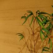 川湯温泉 川湯観光ホテル(北海道 リゾートホテル) / 2