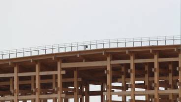 観光スポット / 15