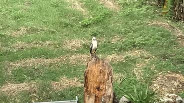 施設からの眺望 / 11