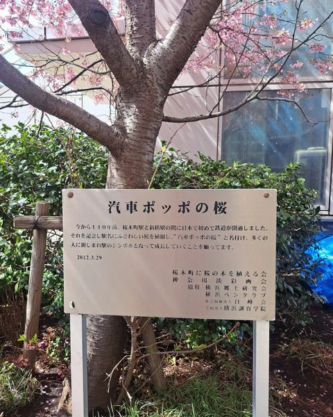gelsomina.kさんの写真 / 2