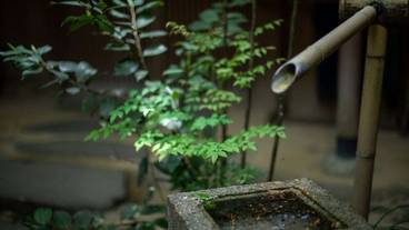 施設の敷地 / 21