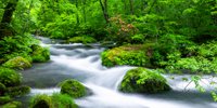 【青森】千年の秘湯「蔦温泉旅館」で彼とゆっくり過ごす癒しの旅