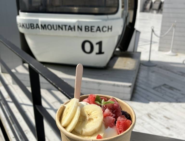 ビーチのアサイーボウル / 3