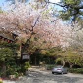 料理旅館 植東（岐阜県 旅館） / 3