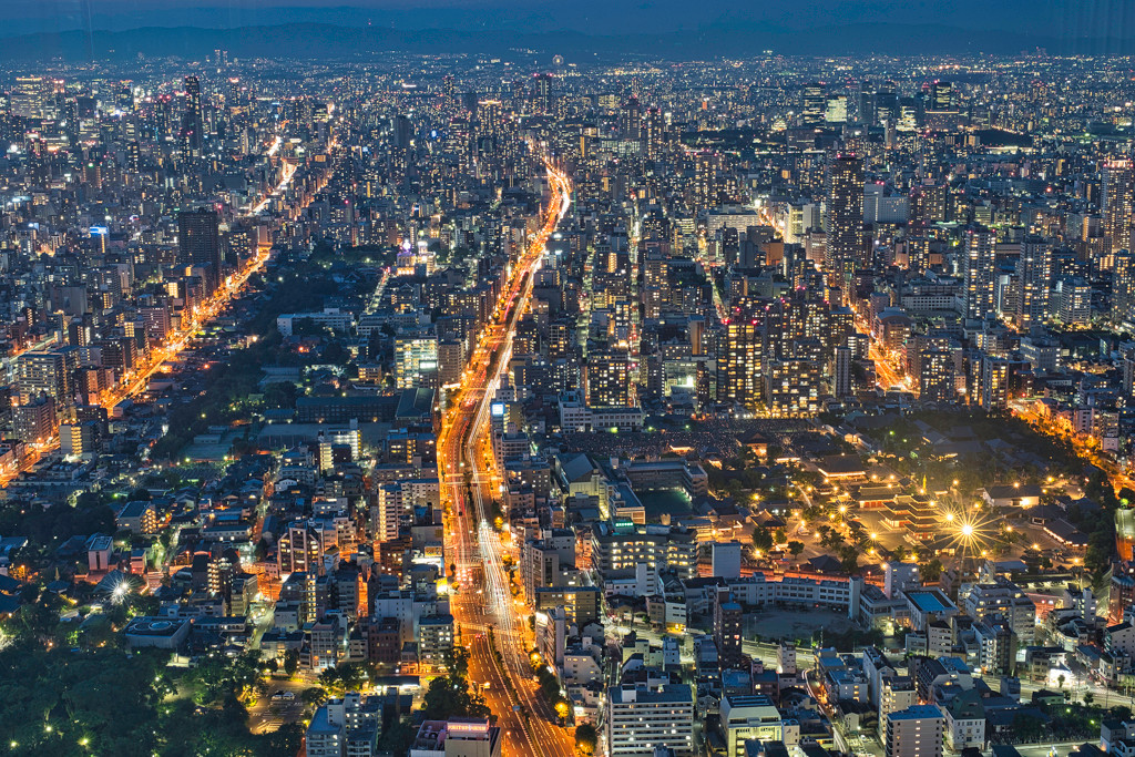 展望台からの景色も楽しめちゃいます4249633