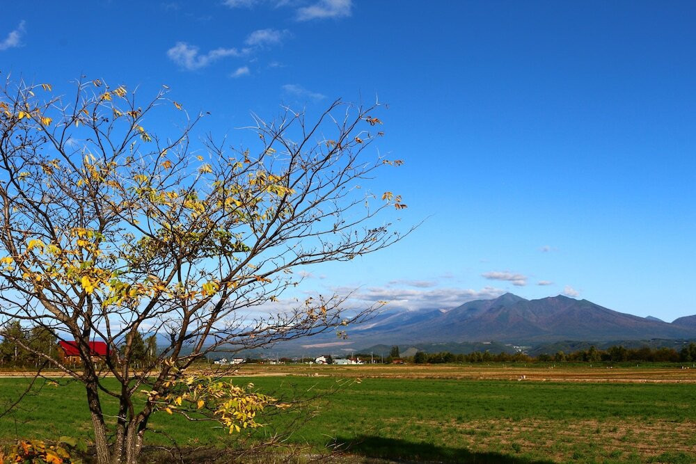 マウンテン ビュー