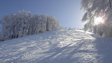 スノー スポーツとスキー / 1