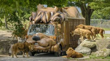 観光スポット / 5