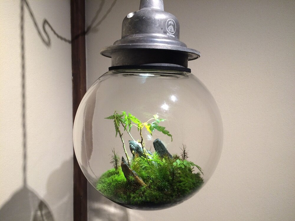 部屋からの景観