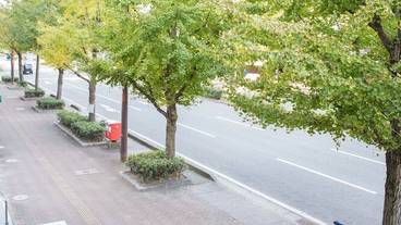 部屋からの景観 / 27