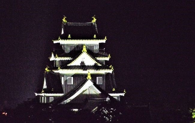 岡山城(望遠で)