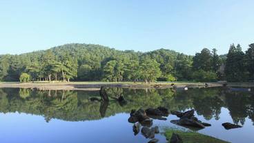 観光スポット / 10