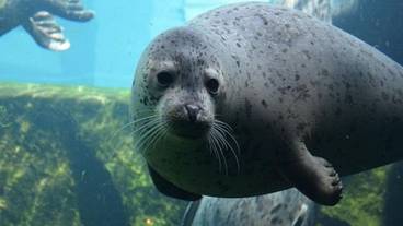 観光スポット / 9