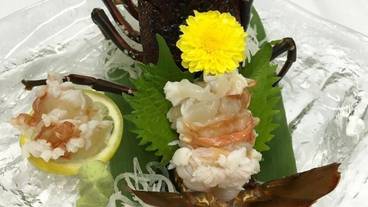 レストラン / 20