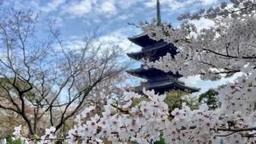 観光スポット / 4