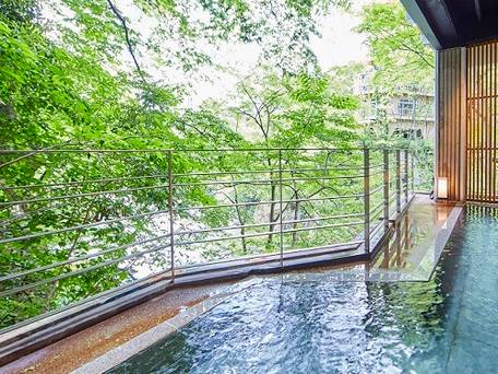 坐山 みなかみ / 3