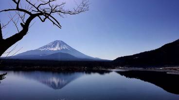施設からの眺望 / 12