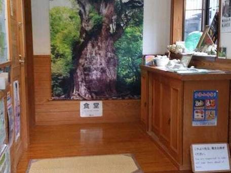 民宿 やくしま家（屋久島） / 3