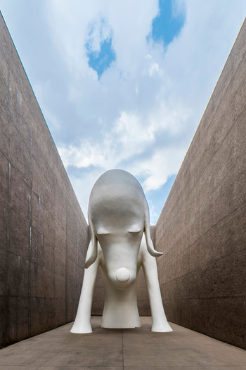 青森県立美術館4273160