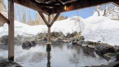 亀の井ホテル 田沢湖