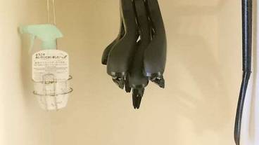 客室の設備とサービス / 12