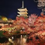 美しい紅葉に心鎮まり、絶品スイーツに心色めく♪ 秋を満喫する京都女子旅