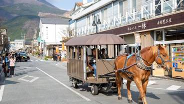 シティ ビュー / 9