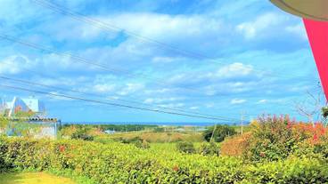 部屋からの景観 / 14
