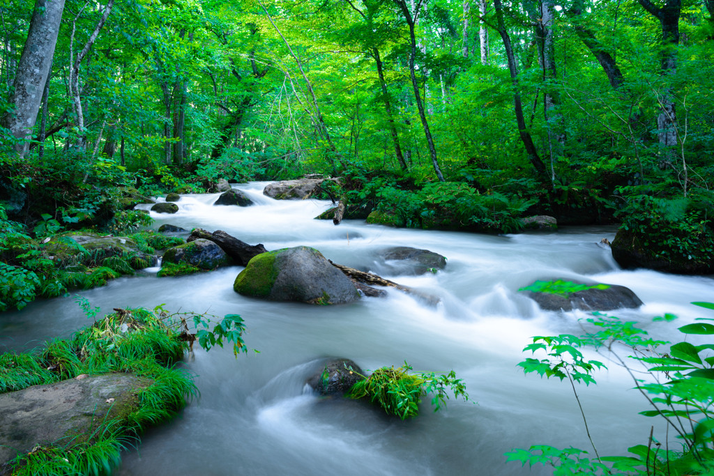 季節によって様々な景色を堪能できる「奥入瀬渓流」22786
