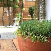 Hostel Mt.Fuji（山梨県 ゲストハウス・ホステル・ドミトリー） / 3