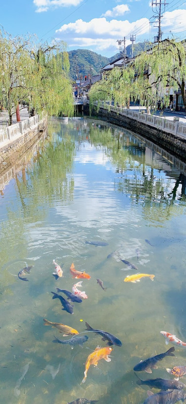 atiti.diaryさんの写真 / 6