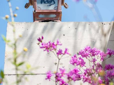 宮浜温泉 旅籠 桜 / 4