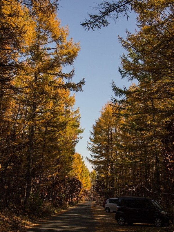 施設からの眺望