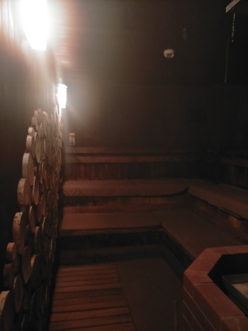 テラス有り、サウナ付き客室が大人気！4276484