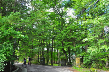 A couple cycling through the Kyu-Karuizawa area covered in green trees