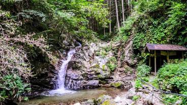 ランド ビュー / 14