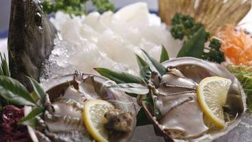 食事・飲み物 / 16