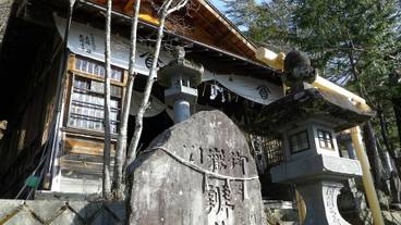 シティ ビュー / 7