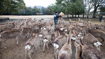 施設からの眺望 / 27