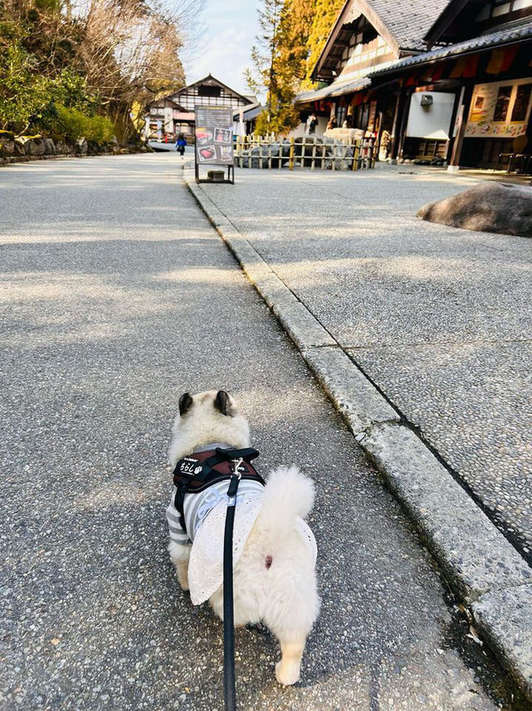 k_chirashi_さんの写真 / 2