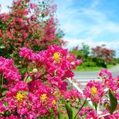 世界遺産の隠れ宿 果実の森（岩手県 旅館） / 4
