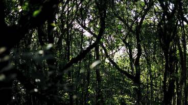 ランド ビュー / 22