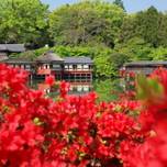 四季折々の彩りが美しい！京都「長岡天満宮」をゆっくりお散歩