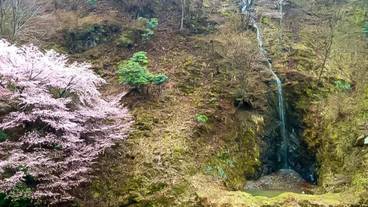 ランド ビュー / 34