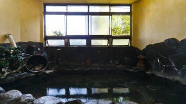 屋内スパ浴槽 / 5