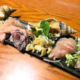 たけとんぼ(タケトンボ)