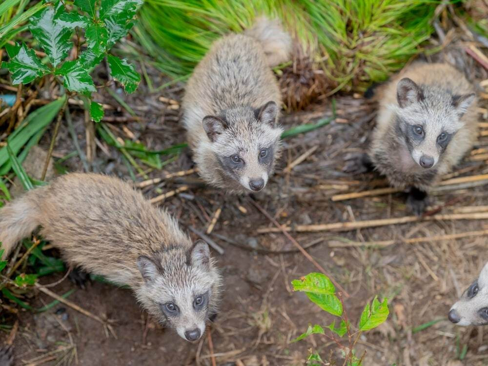 施設からの眺望