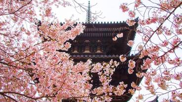 観光スポット / 10