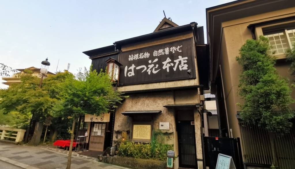 「はつ花 本店」で
自然薯そばランチ / 5